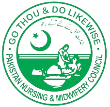 Sindh Nursing Council